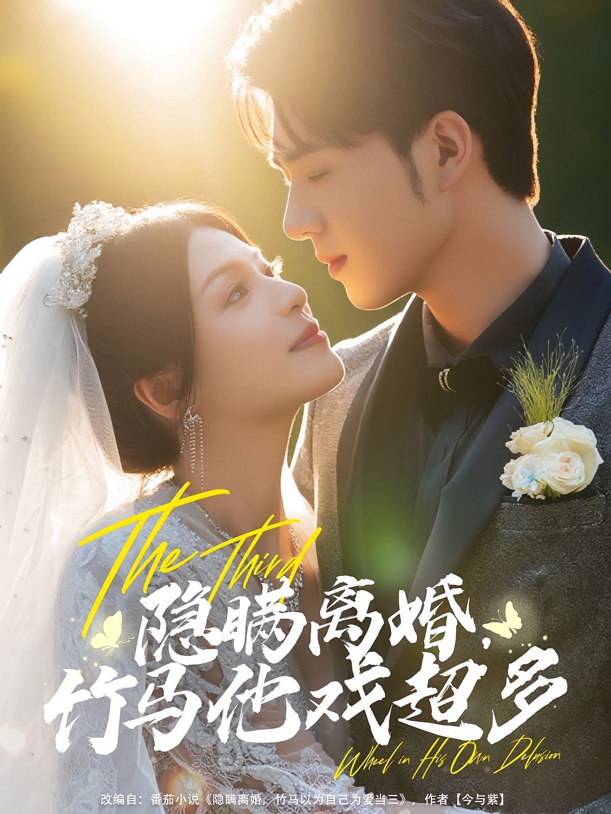 隐瞒离婚竹马他戏超多(全集)