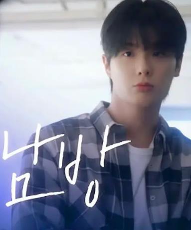 格纹衬衫(全集)