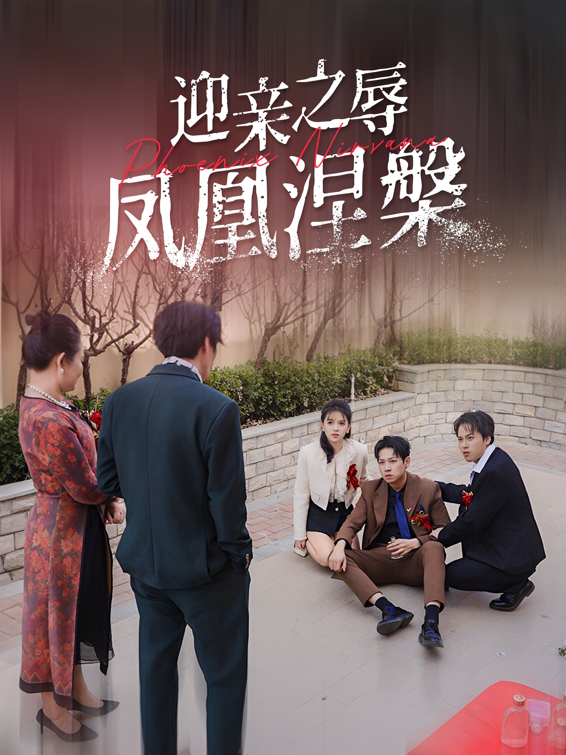 迎亲之辱凤凰涅槃 第33集